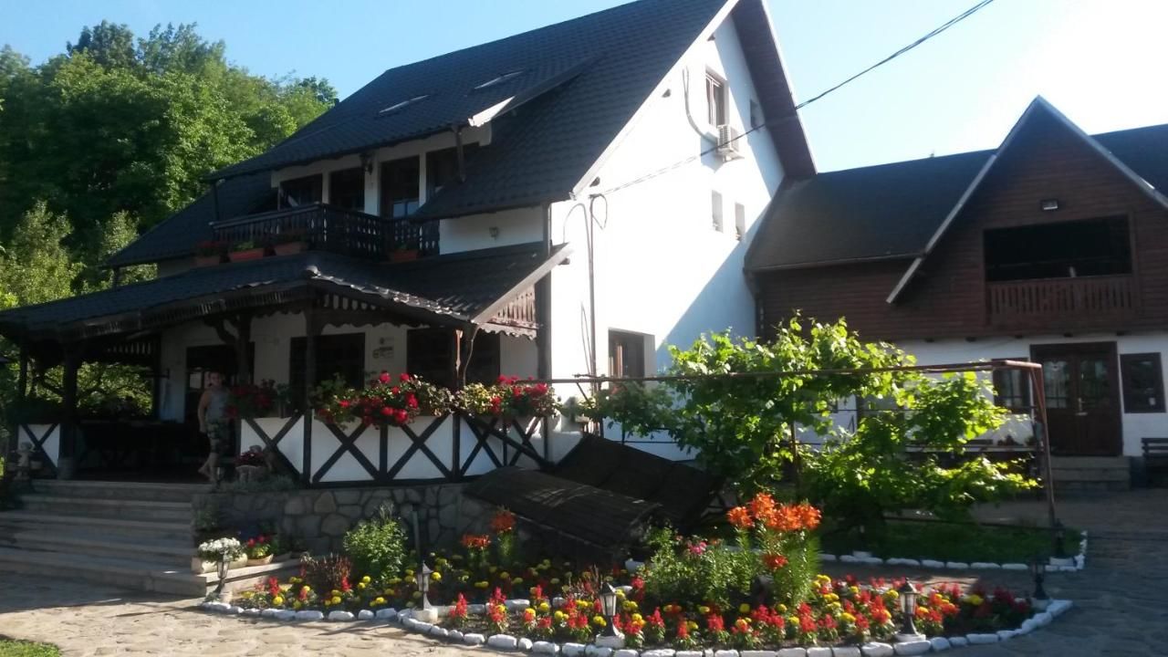 Гостевой дом Pension Sf Nicolae Aluniş